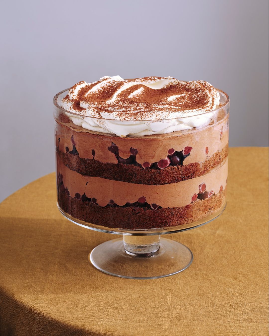 Close-up of a chocolate trifle in a glass bowl, layered with chocolate mousse, cake, cherries, topped with whipped cream and cocoa powder.
