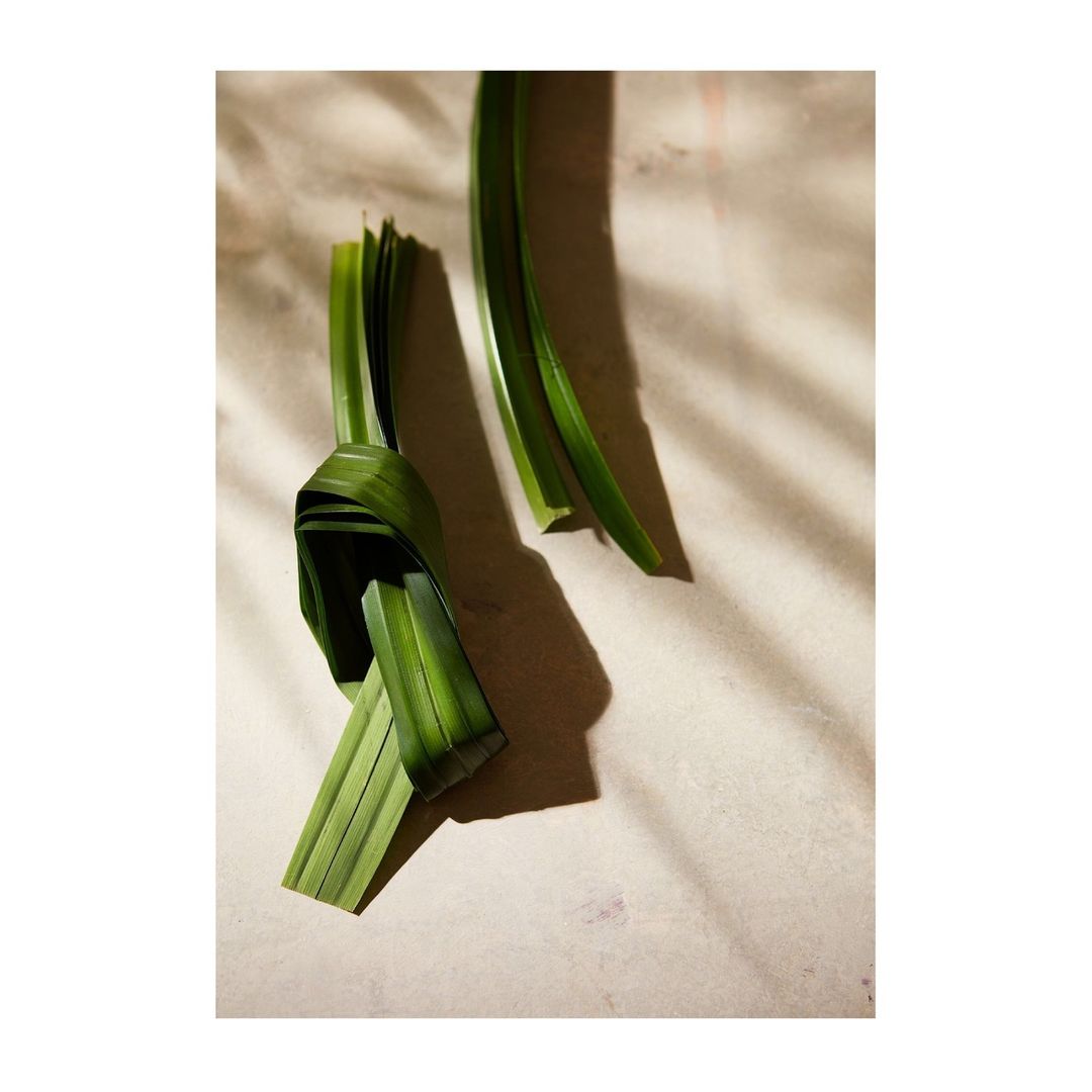 Overhead shot of intricately folded pandan leaves in a knot, alongside other fresh leaves, casting shadows on a neutral beige background.