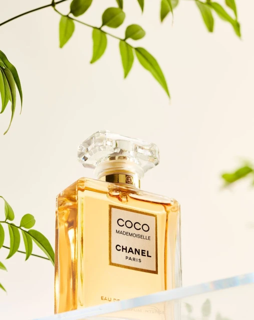 Elegant product shot of a Coco Mademoiselle Chanel perfume bottle with a faceted cap and foliage, perfect for beauty ads.