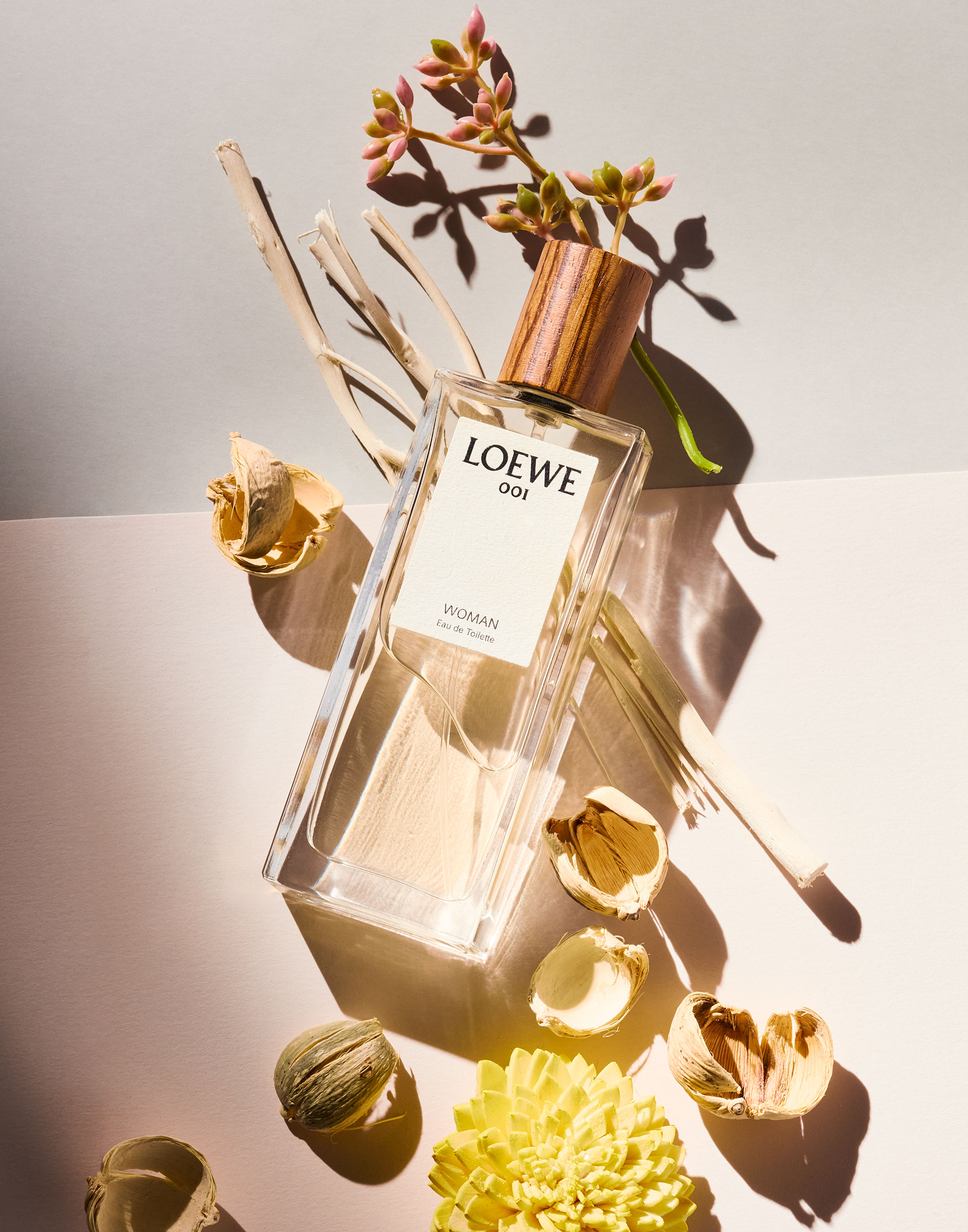 Loewe 001 Woman perfume bottle with wooden cap surrounded by dried seed pods and a yellow flower on a dual-toned paper surface.