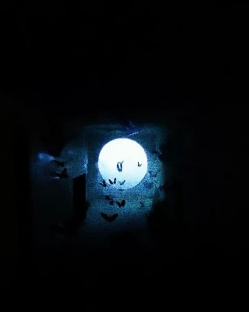 Full moon surrounded by silhouetted bats against a dark night sky, creating a spooky Halloween or nighttime nature scene.