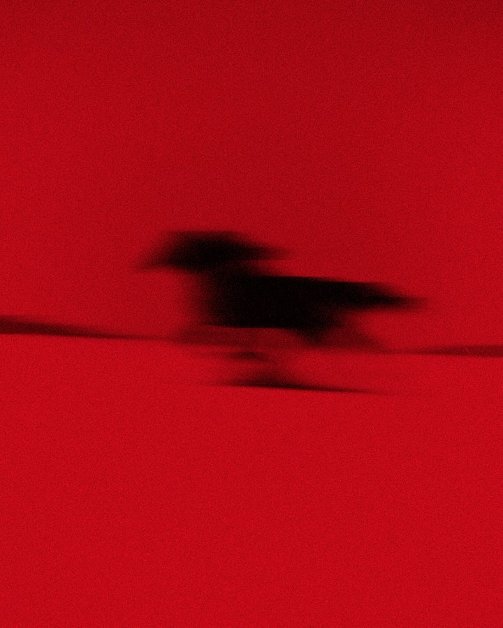 Blurry silhouette of a dog running against a vivid red background, motion blur effect, creating a sense of speed and energy.