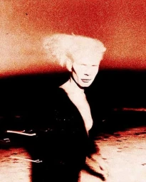Grainy red-toned portrait of a person with voluminous light hair against a dark horizon and textured red sky.