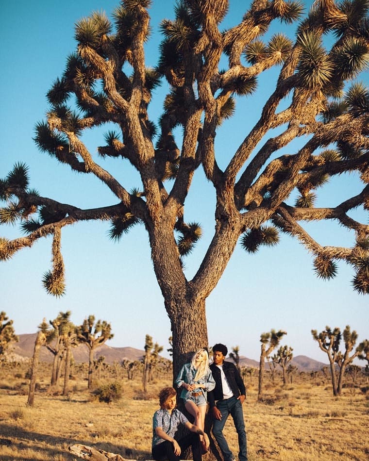 Three people are standing near a large Joshua tree in the desert landscape. The sky is clear and blue, and other Joshua trees are visible.