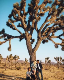 Three young adults posing near the trunk of a large Joshua tree in a desert landscape under a clear blue sky