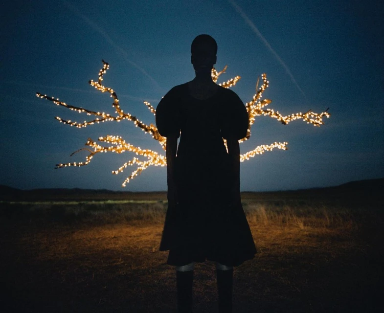 Silhouette of a female adult in a dress, standing outdoors at night near a decorative tree with lights, against a dark blue sky.