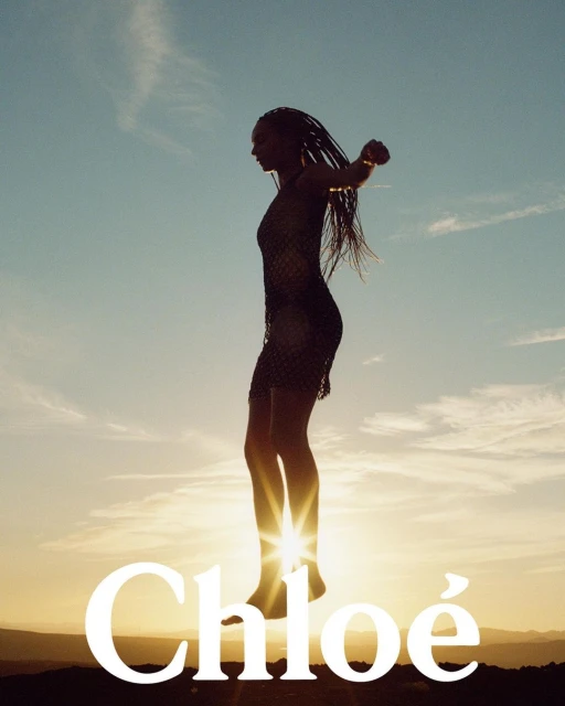 Silhouette of a slender adult female with long braids in a semi-sheer dress posing against a clear blue sky at golden hour.