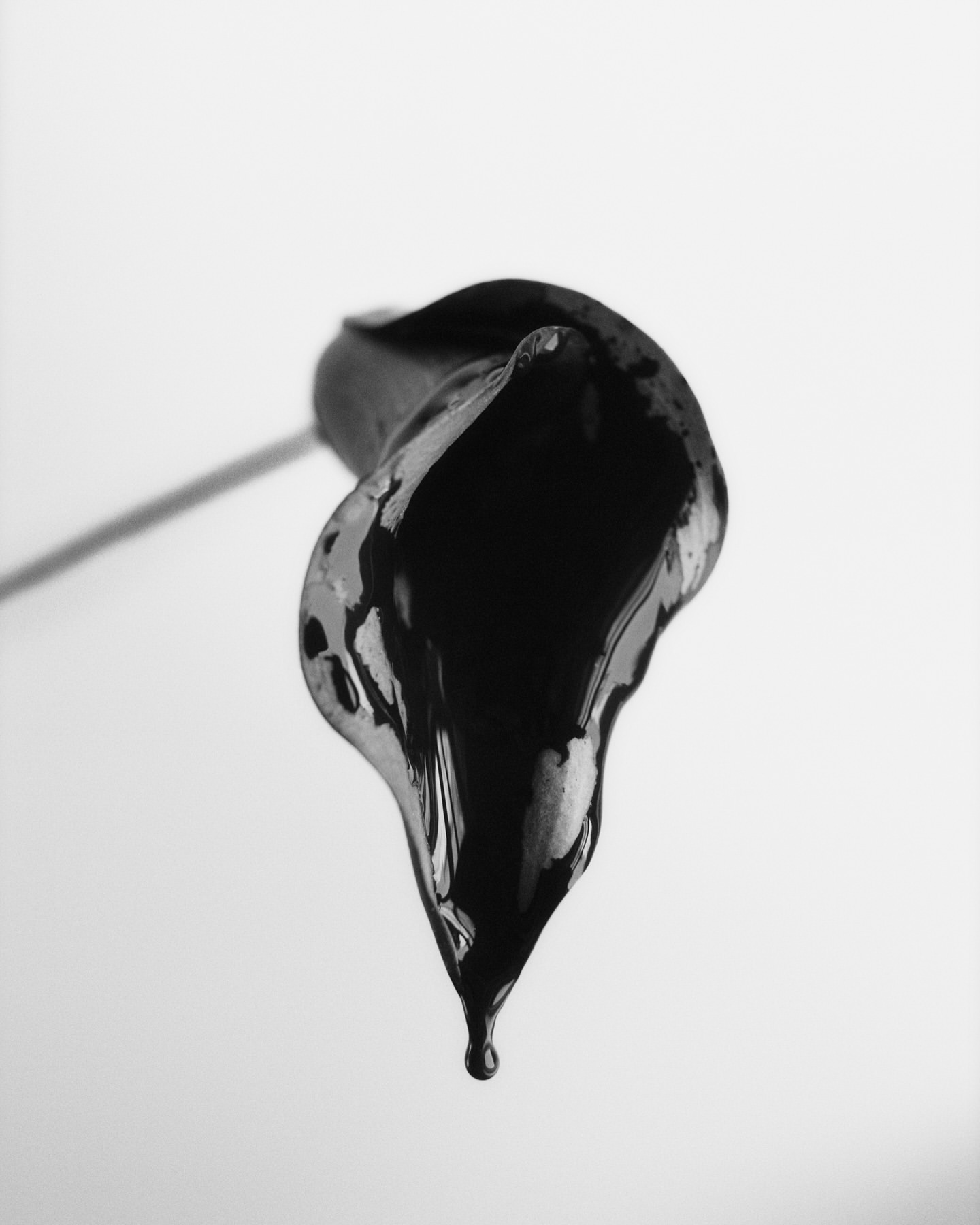 Monochrome photograph showcasing a black calla lily with a glossy sheen, set against a plain white background, highlighting its elegant form.