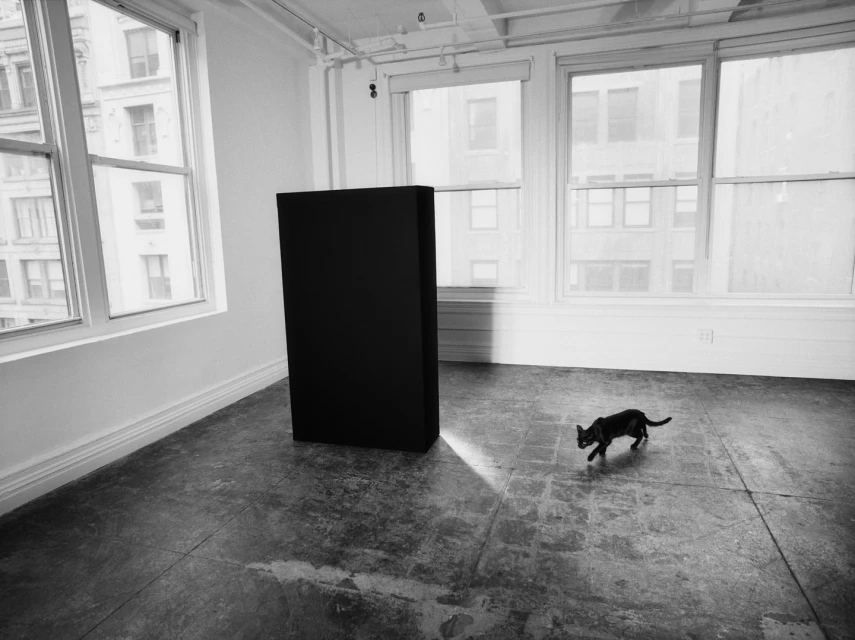 Monochromatic shot of a black cat in a white room with large windows and a dark rectangular column, casting shadows across the floor.