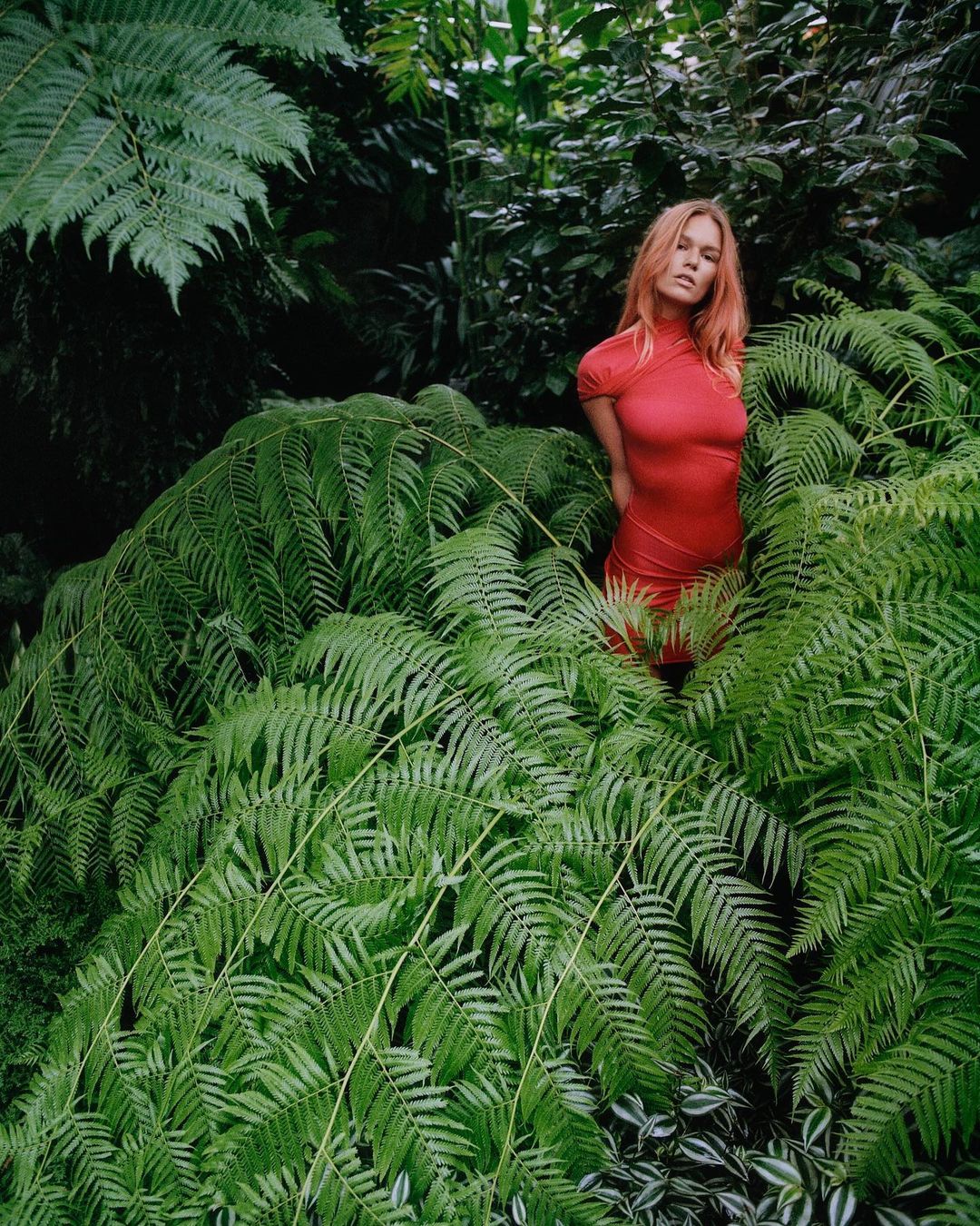 A young woman with red hair stands amidst lush green ferns in a natural setting, wearing a red dress, in a verdant, immersive, natural environment.
