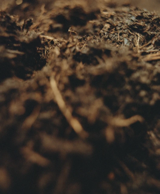 Macro photograph showcases a close-up view of rich, dark soil with subtle hints of light and delicate roots visible throughout the texture.