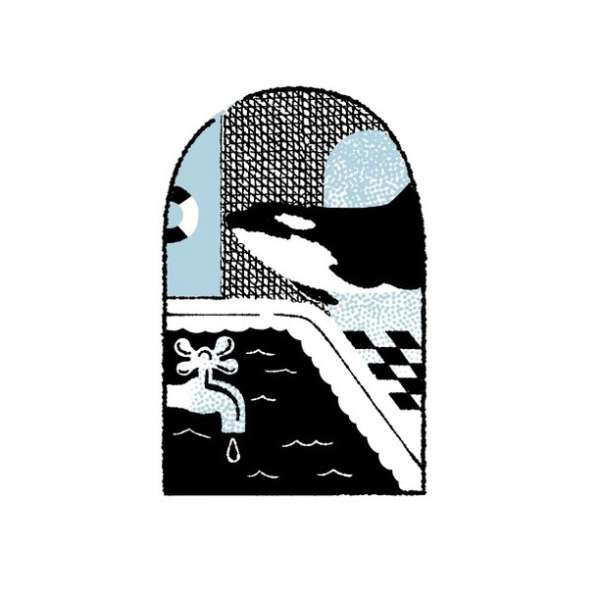 Stylized illustration of an orca, faucet, and lifeguard ring, set within a decorative archway with textured patterns and graphic details.