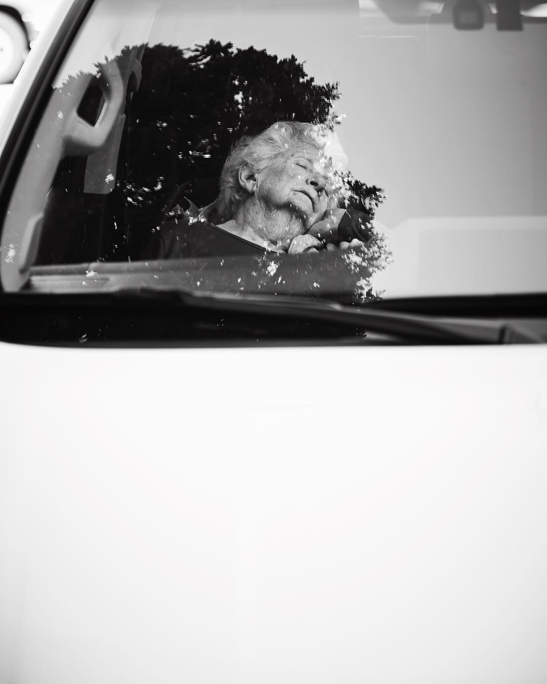Black and white close-up of an elderly woman sleeping in the driver's seat of a car, her face partially obscured by tree reflections.