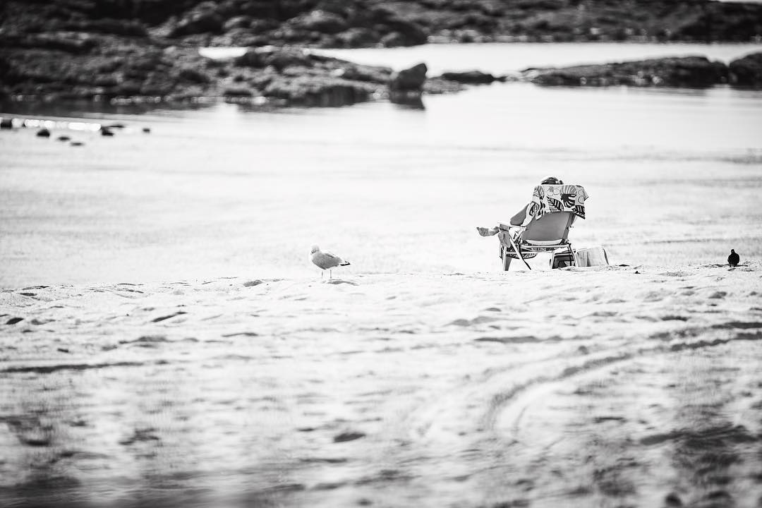 Black and white shot of a person relaxing in a beach chair on the sandy shore near the ocean as a seagull stands nearby.