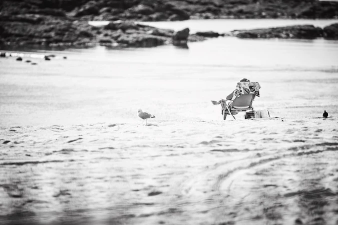 Black and white shot of a person relaxing in a beach chair on the sandy shore near the ocean as a seagull stands nearby.