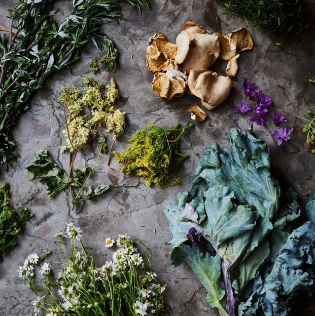 Overhead shot of oyster mushrooms, kale, herbs, and daisy flowers arranged on a gray textured surface in a visually appealing still life.