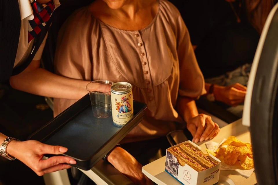 Flight attendant serves a passenger a beverage on a tray along with a sandwich and chips in an airplane cabin, close up.