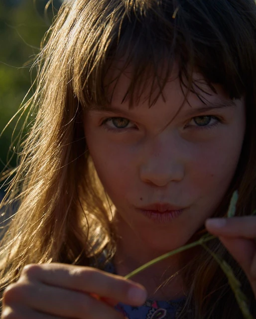 Close-up of a young girl with light brown hair and blue eyes, holding a green plant stem, bathed in warm, natural light.
