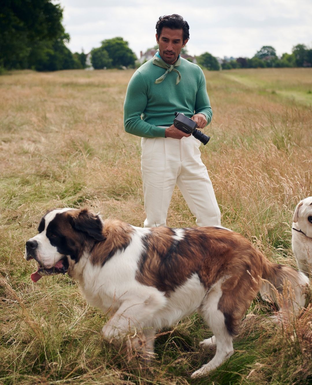 Man in sweater and white pants outdoors with two dogs in a field, one St. Bernard dog and one golden lab, holding vintage camera.