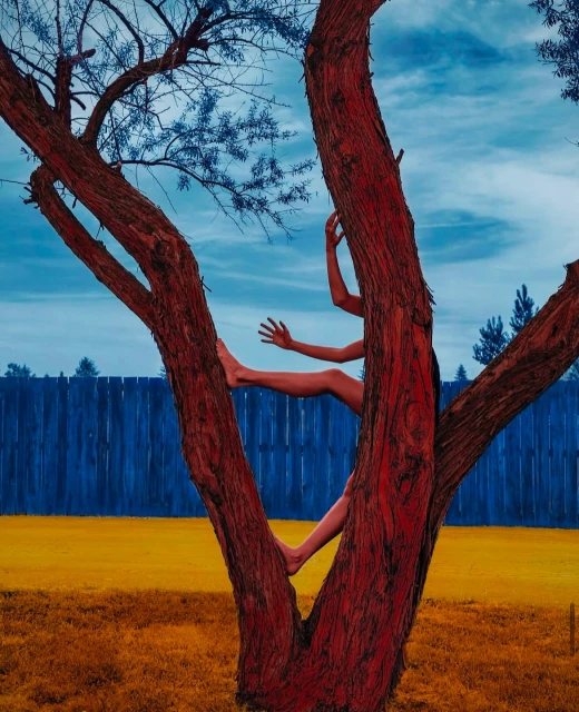 An artistic outdoor shot features a partially visible person among red tree branches against a blue sky, creating a surreal and eye-catching scene.
