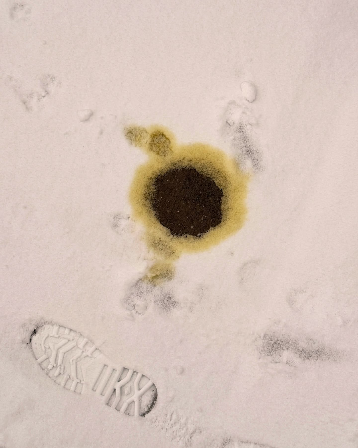 Overhead shot of a circular puddle in fresh snow, surrounded by a yellow halo, with a partial shoe print visible at the bottom.