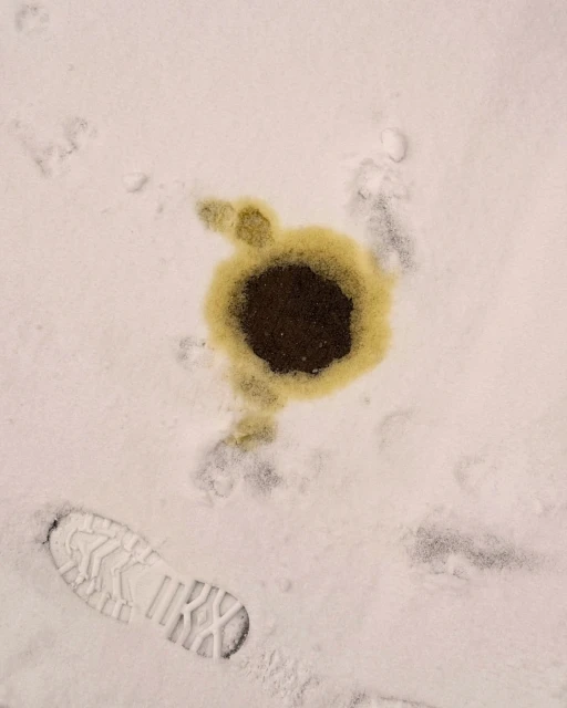 Overhead shot of a circular puddle in fresh snow, surrounded by a yellow halo, with a partial shoe print visible at the bottom.