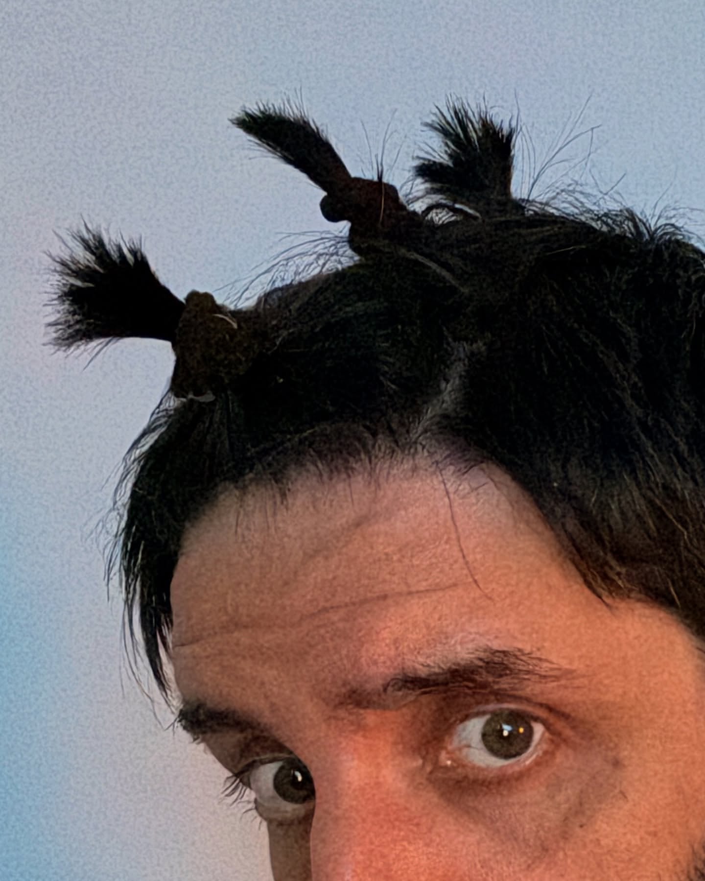 Close-up of a man with dark hair styled into two whimsical top knots resembling animal ears, set against a soft, light blue background.