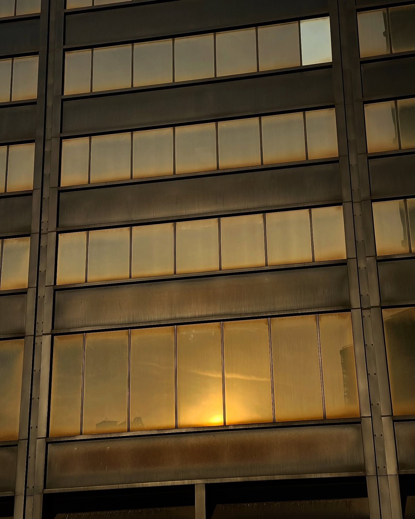 Close-up architectural view of a commercial office building facade with golden tinted glass windows reflecting the sunset.