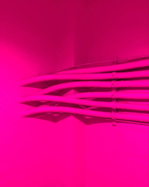 Close-up shot of multiple pink cables in a high-tech environment, highlighting connectivity and modern infrastructure in monochromatic pink hues.