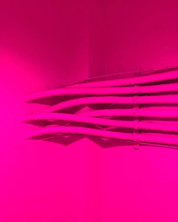 Close-up shot of multiple pink cables in a high-tech environment, highlighting connectivity and modern infrastructure in monochromatic pink hues.