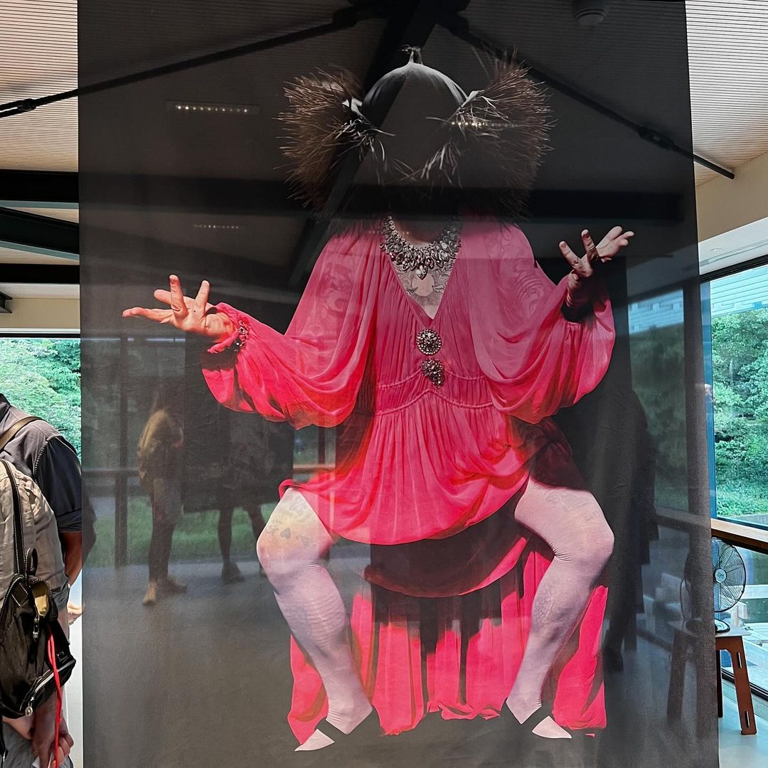 Abstract artistic photograph of a person in a pink dress with a decorative headpiece, displayed indoors near windows.