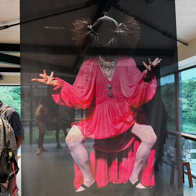 Abstract artistic photograph of a person in a pink dress with a decorative headpiece, displayed indoors near windows.