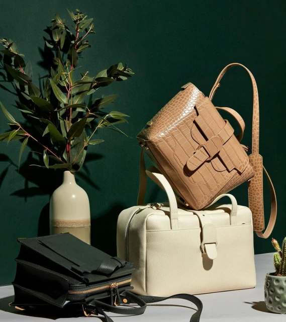 Three handbags of varying designs and colors are arranged on a gray surface, with greenery and a green wall in the background.