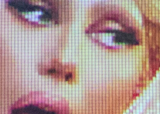 Close-up of a woman's face displayed as a low-resolution, pixelated image, showing details of her eyes, nose, and lips.