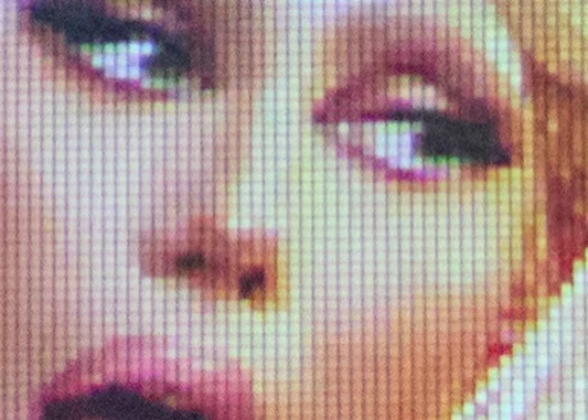 Close-up of a woman's face displayed as a low-resolution, pixelated image, showing details of her eyes, nose, and lips.