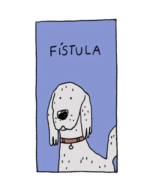 Illustration of a light gray dog with spots, wearing a collar and tag, against a periwinkle blue background with the text 'Fistula'.