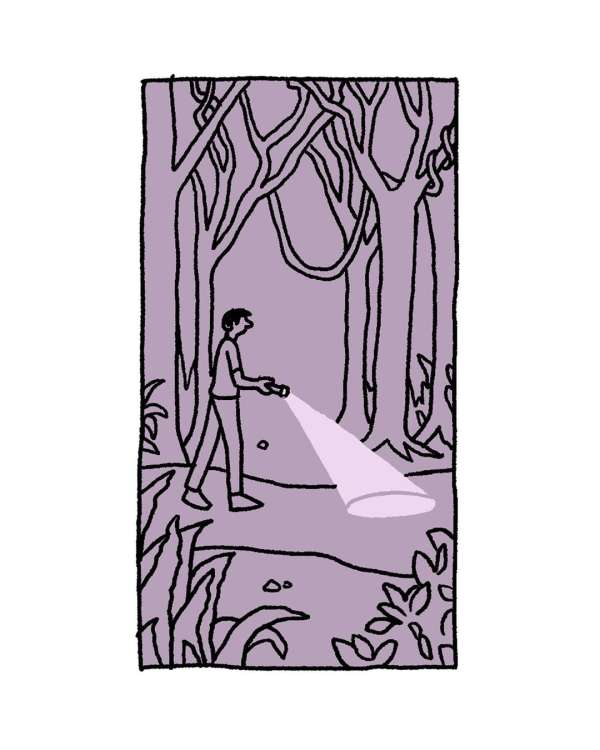 Illustration of an adult male walking in a forest with a flashlight at night, plants and trees depicted in an artistic style.