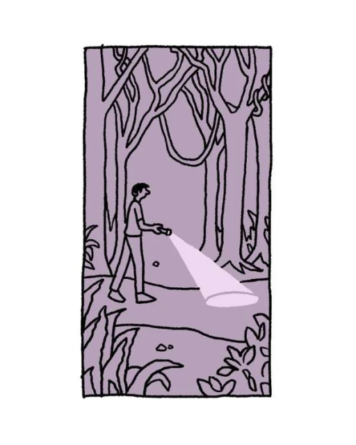 Illustration of an adult male walking in a forest with a flashlight at night, plants and trees depicted in an artistic style.