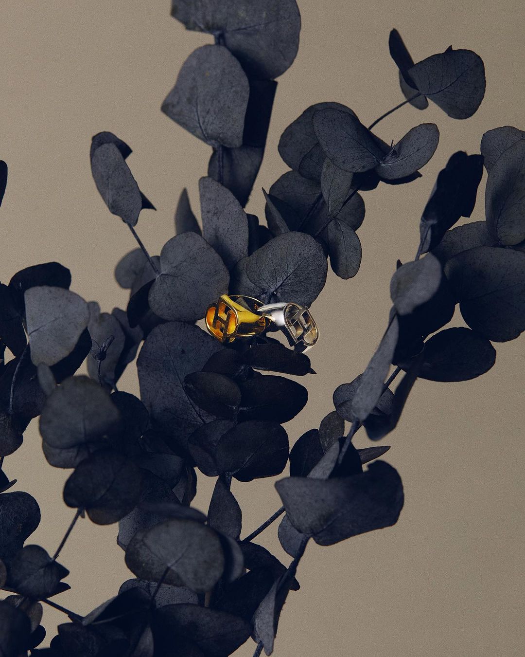 Still life of a two-tone metal ring, featuring gold and silver accents, nestled among dark eucalyptus leaves against a beige backdrop.