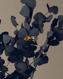 Gold and silver rings resting amongst dark dried leaves against a neutral grey background