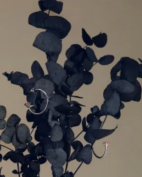 Silver hoop earrings with red gemstone accents hanging among dark eucalyptus leaves against a plain beige background
