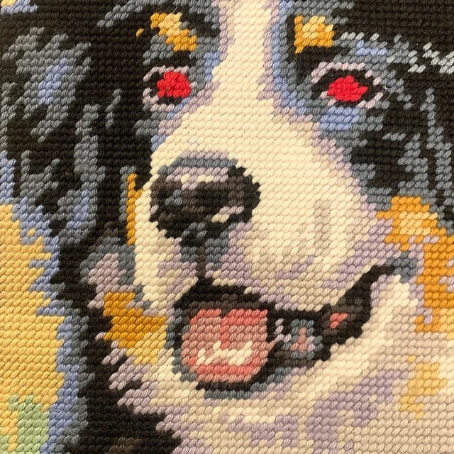 Close-up of a cross-stitch art piece depicting a Bernese Mountain Dog with black, white, and brown fur, showcasing detailed needlework.