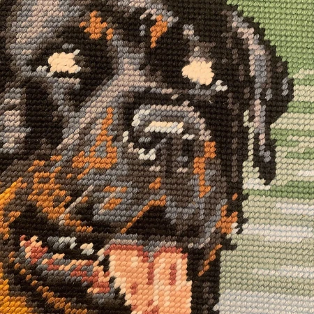 Close-up of a needlepoint artwork of a Rottweiler dog with black and brown fur against a light green and white background.