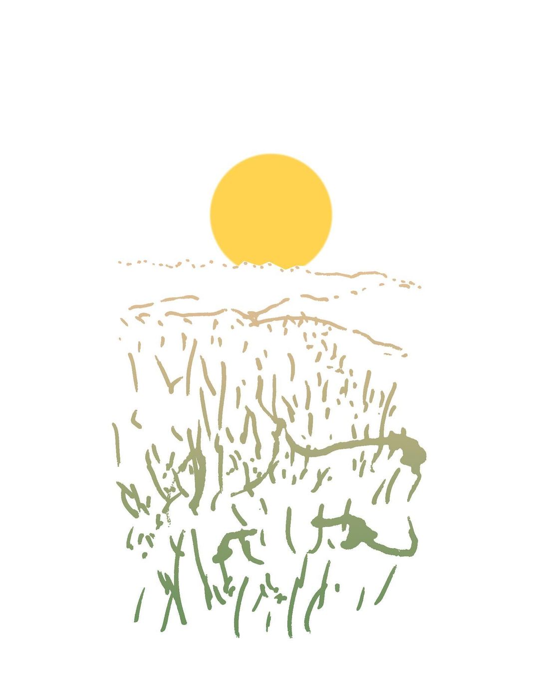 Illustration of a sun over a field. The sun is bright yellow. The field is green and tan, with the horizon in the background.