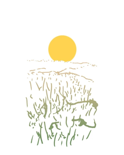 Illustration of a sun over a field. The sun is bright yellow. The field is green and tan, with the horizon in the background.