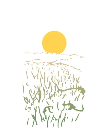 Illustration of a sun over a field. The sun is bright yellow. The field is green and tan, with the horizon in the background.