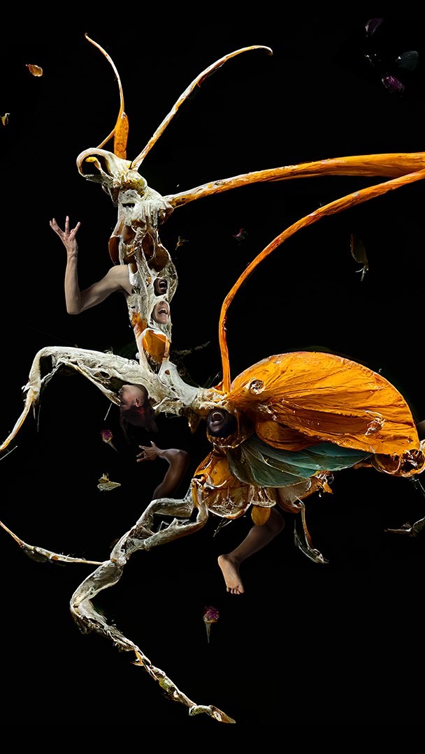 A person in an elaborate insect-like costume with wings and antennae floats against a black background in this fantasy art image.