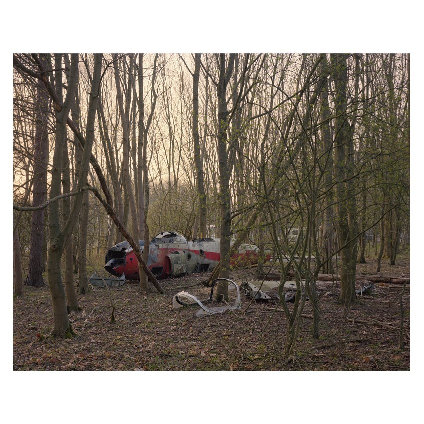 Wrecked aircraft lies abandoned on a forest floor amongst bare trees in a horizontal composition with grey, red, and brown colors.