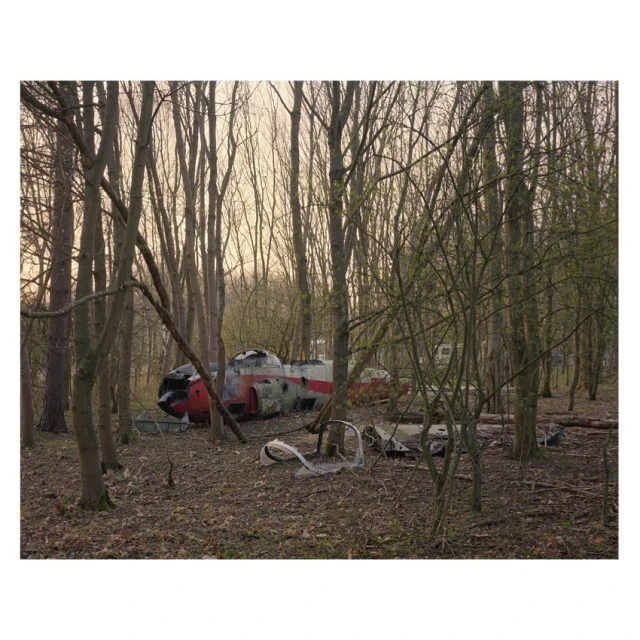 Wrecked aircraft lies abandoned on a forest floor amongst bare trees in a horizontal composition with grey, red, and brown colors.