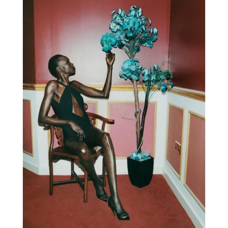 A dark-skinned woman in a black swimsuit sits in a wooden chair next to a decorative tree with blue flowers against a red wall.